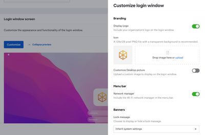 Customizing login window page