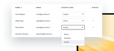 Screenshot of auditor access screen